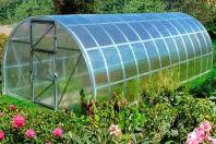 Теплиця, парники своїми руками