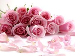 Привітання з днем народження по знакам зодіаку. Тости за знаками зодіаку Привітання з днем народження по знакам зодіаку. Тости за знаками зодіаку