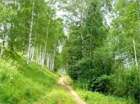 Народні прикмети на липень