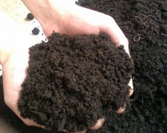 Типи ґрунтів і способи їх поліпшення. Як визначити якість грунту на ділянці