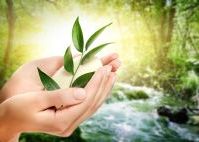 Народні засоби по догляду за руками. Домашні маски для рук
