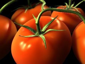 Корисні і лікувальні властивості помідорів