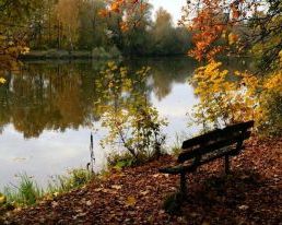 Прислів'я про природу Прислів'я про природу