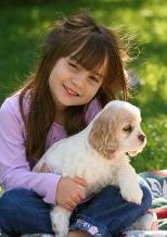 Правила безпеки у поводженні з собаками. Корисні рекомендації для дітей і їх батьків Правила безпеки у поводженні з собаками. Корисні рекомендації для дітей і їх батьків