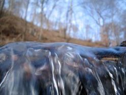 Вірші про весну. Весняні води. Ф. В. Тютчев Вірші про весну. Весняні води. Ф. В. Тютчев