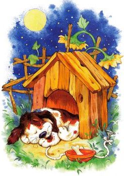 Загадки про тварин з відповідями