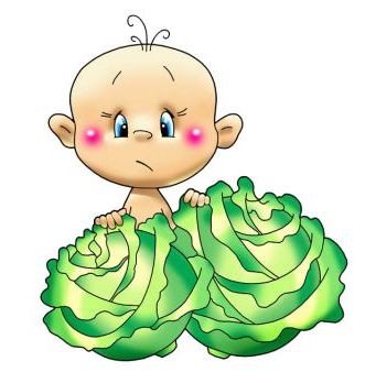 Загадки про город і овочі з відповідями Загадки про город і овочі з відповідями