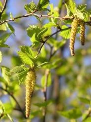 Загадки про Батьківщину