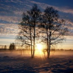 Розповіді про весну для школярів. Весняний світанок