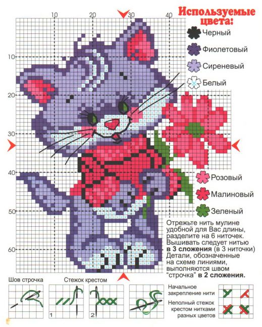 Котик