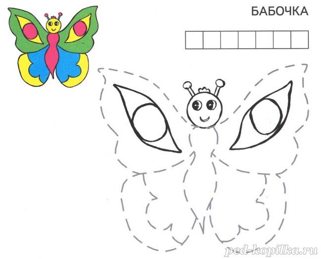 Розмальовка Метелик