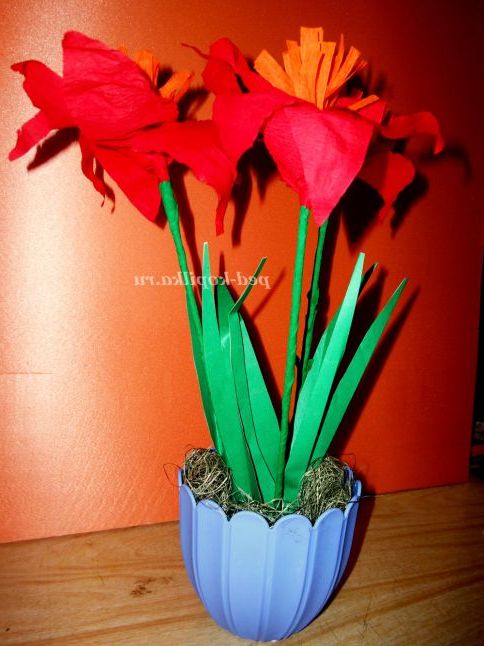 Амариліс своїми руками
