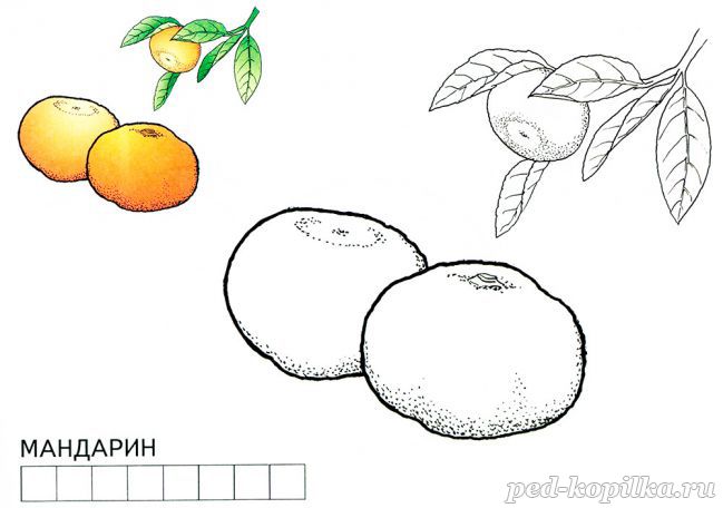 Мандарин