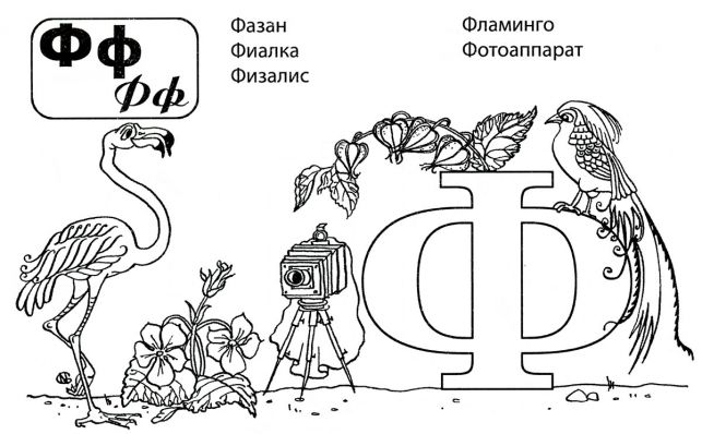 Розмальовки літери