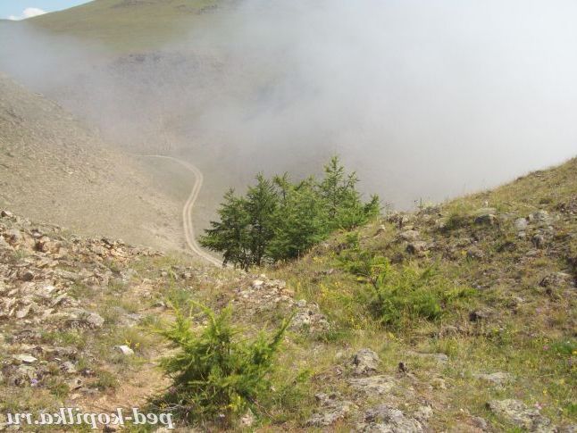 Зміїна стежка