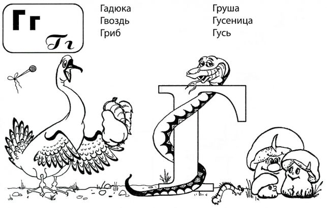 Розмальовки літери
