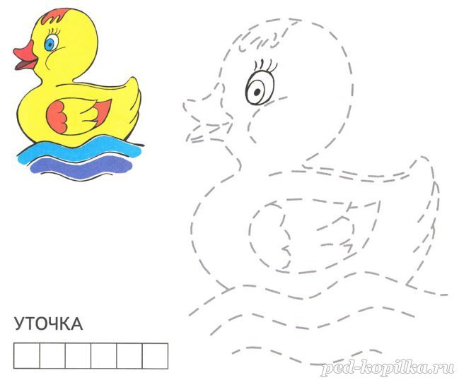 Розмальовка. Качечка