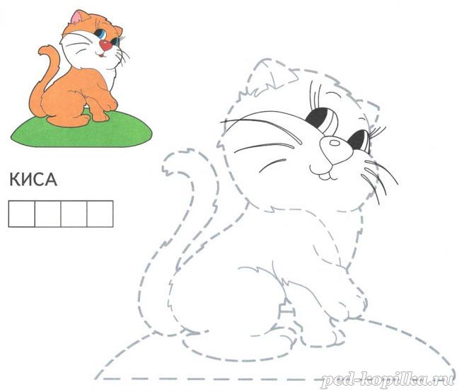 Розмальовка. Киця