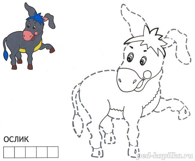 Розмальовка. Ослик