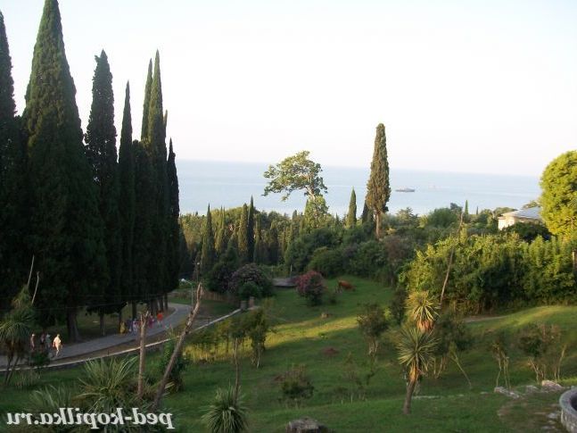 Краще гір, можуть бути тільки гори біля моря!