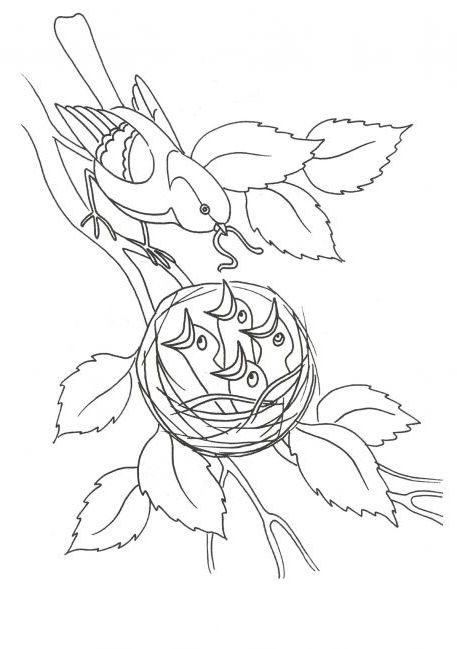 Розмальовка. Птахи влітку