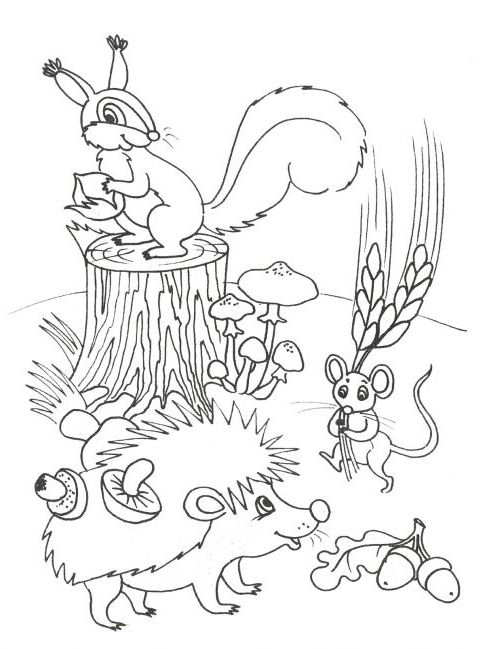 Розмальовка. Осінь