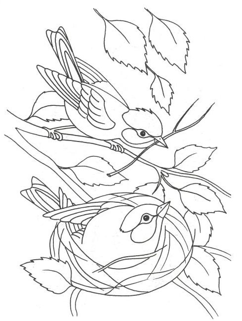 Розмальовка. Птахи навесні