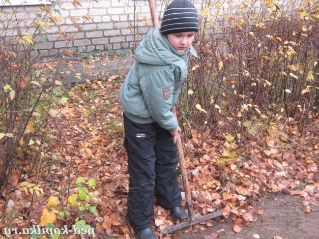 Я вас, кущики, укрою.