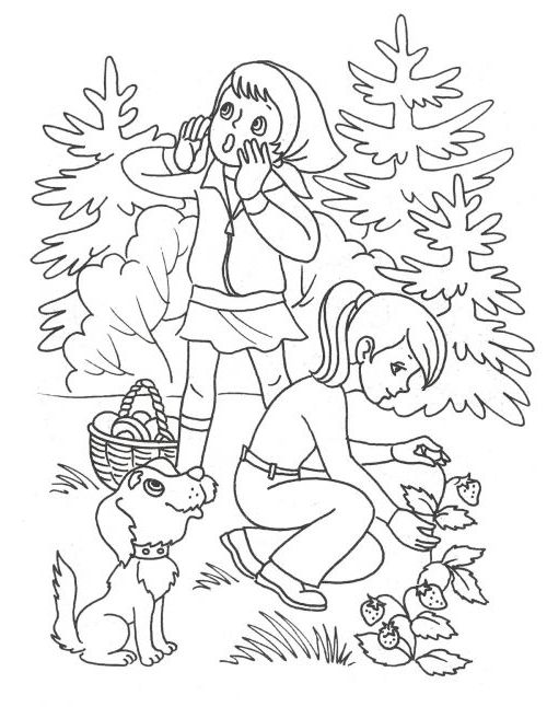 Розмальовка. Літо