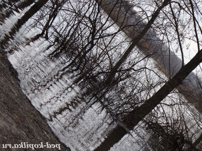 Весна. Фото