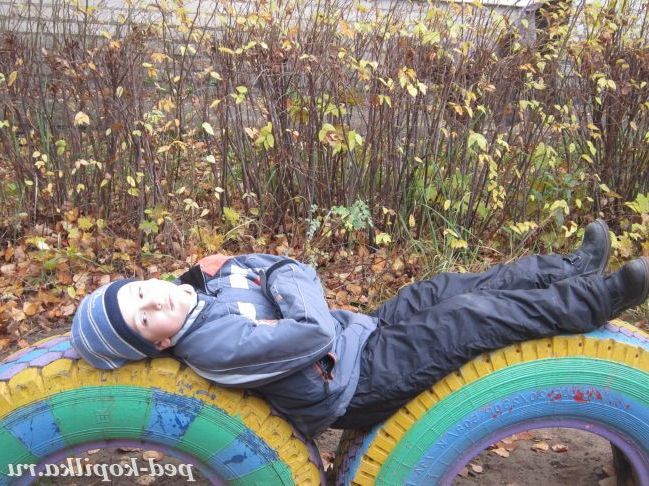 Я на сонечку лежу.
