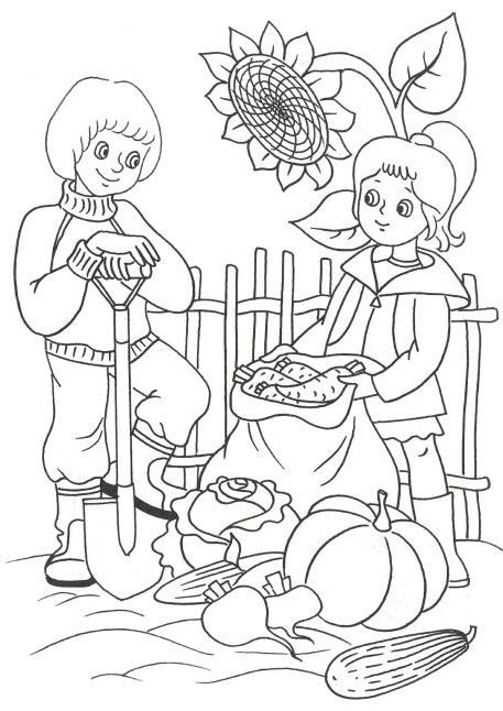 Розмальовка. Збір врожаю