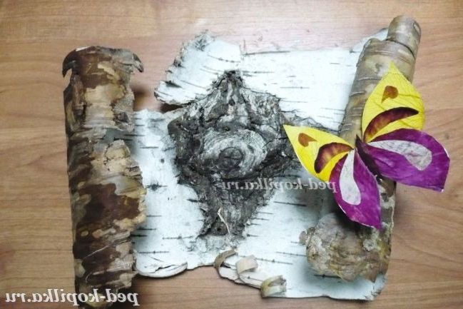 Метелик з природного матеріалу своїми руками