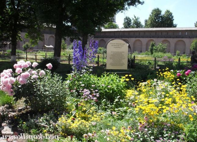 Цвітіння літа