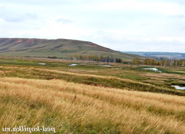 Копія Зображення 183