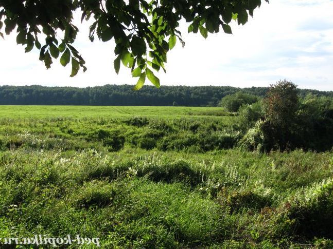 Літній день