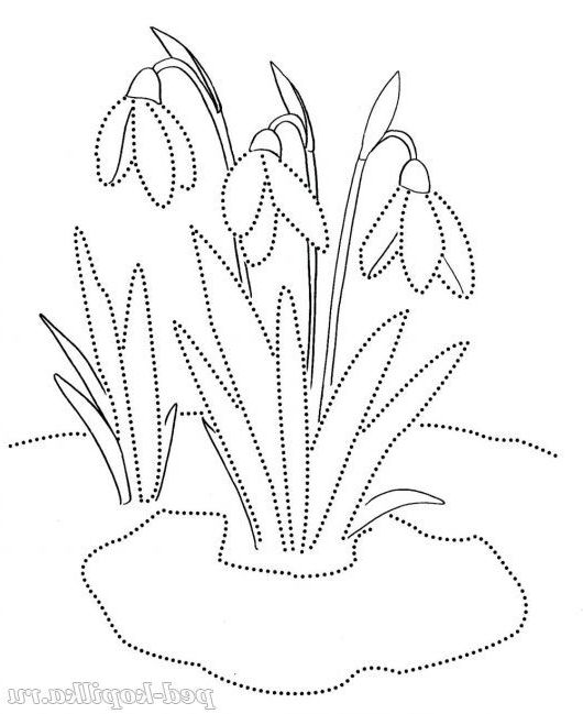Розмальовка. Проліски