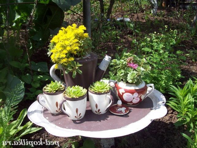 Оформлення садової ділянки своїми руками