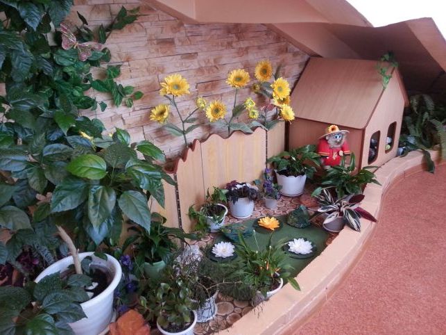 Оформлення ДНЗ