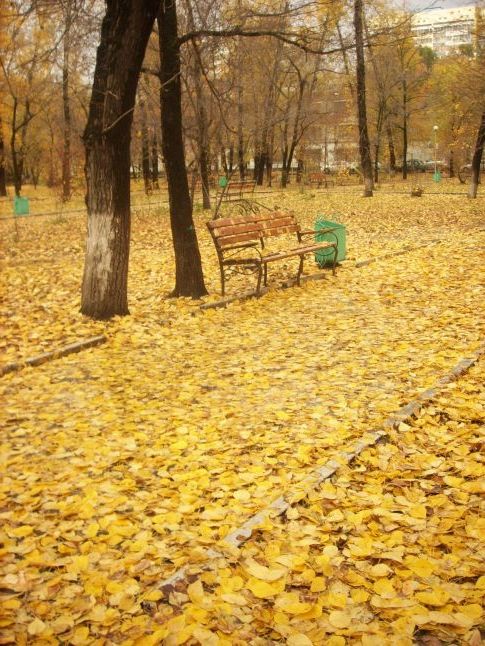 Осінь в парку