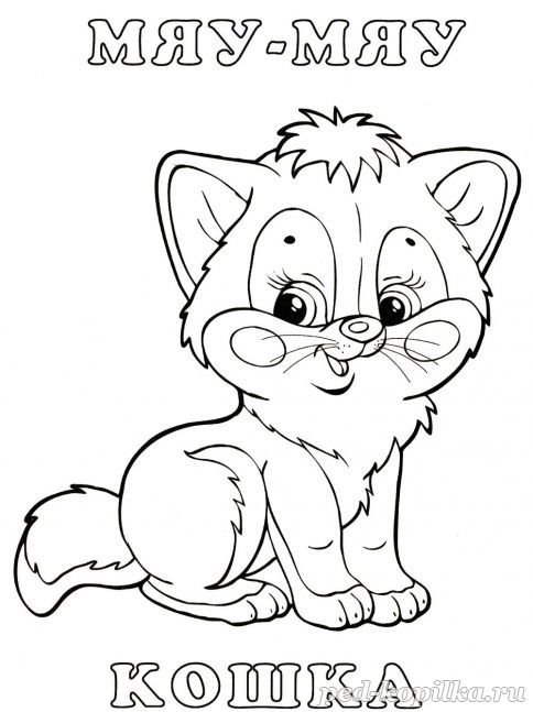 Розмальовка. Кішечка