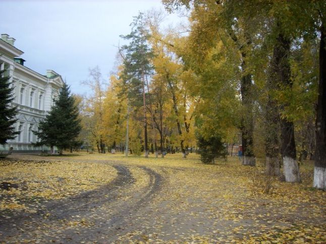 Пейзажі Благовєщенська