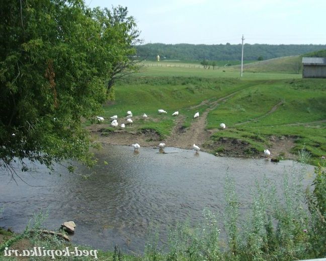 Просто літо
