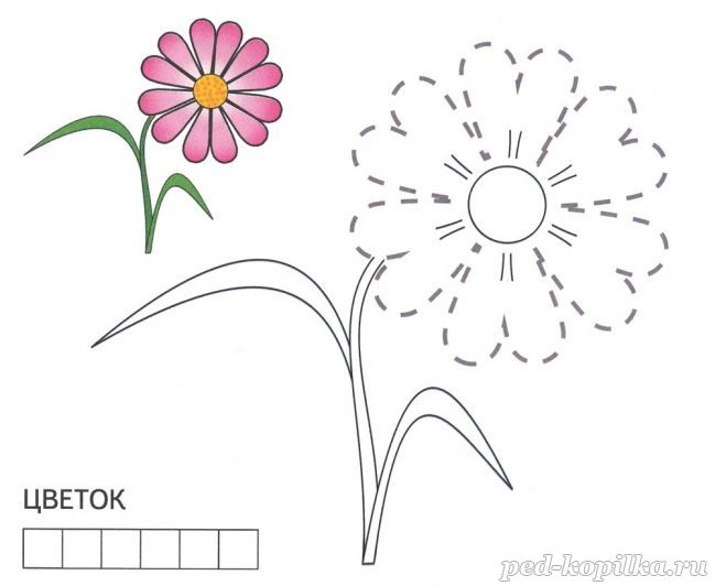 Розмальовка. Квітка