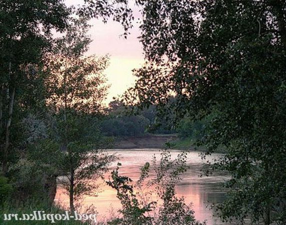 Рідні береги