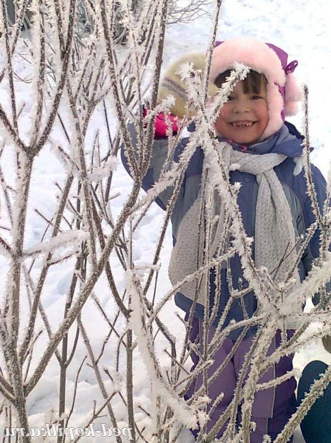Крижані сани