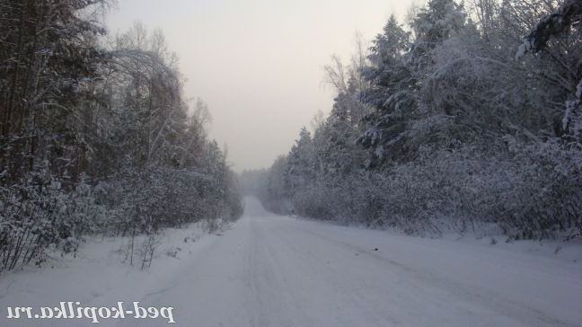 Зимова дорога.