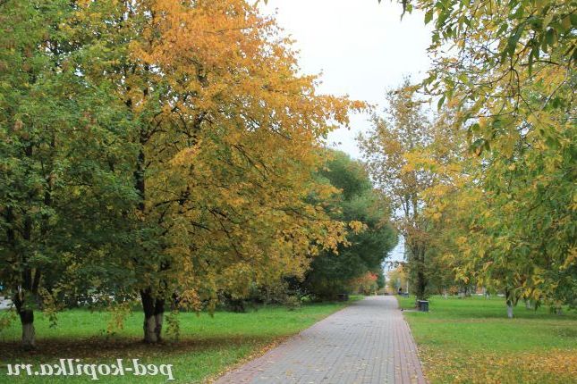 осінь