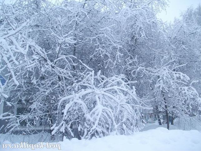 Зима в дитячому саду.
