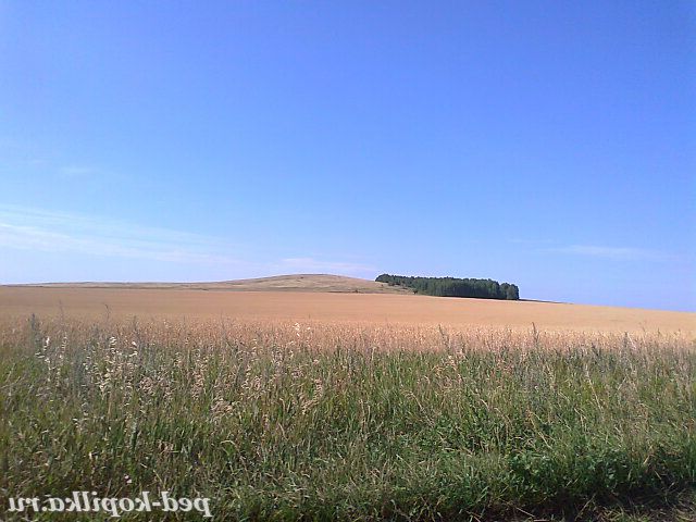 Мій рідний край!